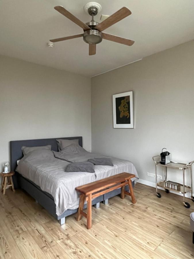 Luxe Kamer In Stadsvilla, Gratis Parkeren! Apeldoorn Exterior foto